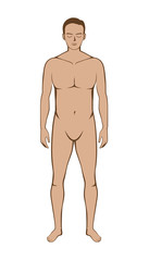 Fototapeta premium Full length front view of man while standing in vector style isolated on white background. Ideal for job about medical and science.