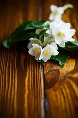 White jasmine flower