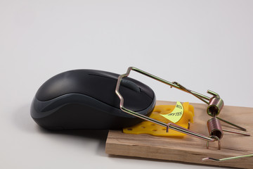 Computer Mouse caught in mousetrap