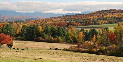 Autumn Mountains and Woods