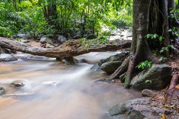 small waterfall in the forest