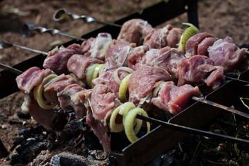 Pork meat on an open fire. Cooking meat on an open fire. B-B-Q. Shag on the barbecue. Cooking with coal
