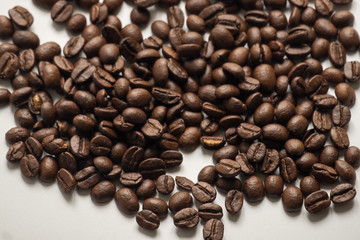 seed coffee on  white background