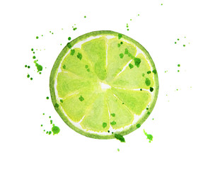 Lime slice with splashes isolated on white background. Watercolor food illustration, art painting