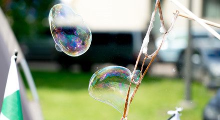 Soap Bubbles in Nature. Spending Free-time, Relaxation