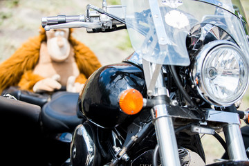 Monkey Sitting on The Bike And Enjoying The Sunshine