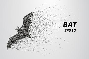 Fototapeta na wymiar Bat out of particles. Bat consists of circles and points. Vector illustration.