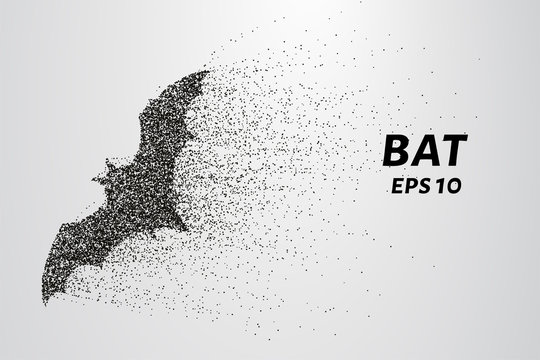 Bat out of particles. Bat consists of circles and points. Vector illustration.
