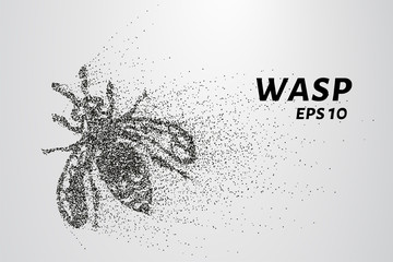 Wasp of the particles. Wasp consists of circles and points. Vector illustration.