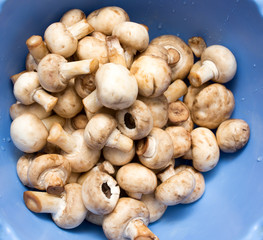Clean fresh mushrooms in a blue cup