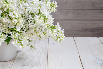 An image of all the branches of lilac.