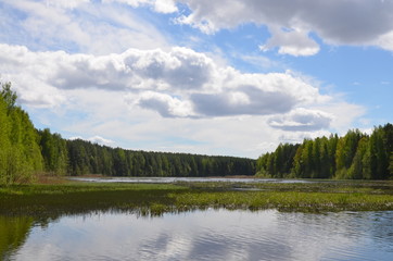 summer landscape with the river and the beautiful sky