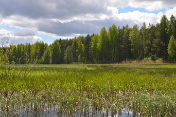 summer landscape with the river and the beautiful sky