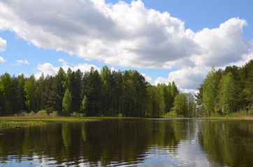 summer landscape with the river and the beautiful sky