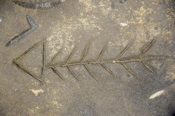 Fish bone carving on a rock by the beach