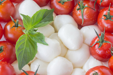 Mozzarella, red tomatoes with green tails closeup