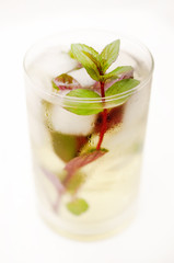 Kentucky derby drink in a glass goblet on a light background.