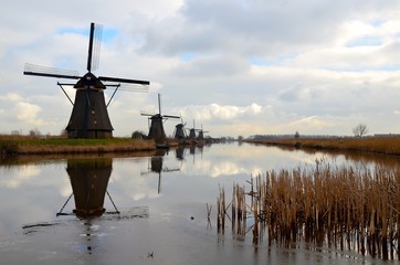 Historical windmills on the river bank with rushes in front of the photo. Typical Dutch autumn scenery with cloudy sky. An UNESCO World heritage site. Dramatic scenery.