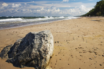 Dzika plaża