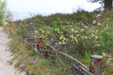 Coastline in Roja, Latvia