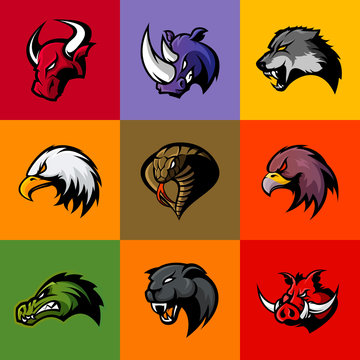 Bull, rhino, wolf, eagle, cobra, alligator, panther, boar head isolated vector logo concept. 
Modern badge mascot design. Premium quality wild animal, bird, snake t-shirt tee print illustration.