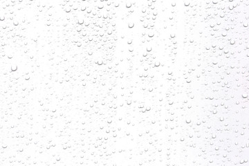 Abstract water droplets isolated background with white background. - obrazy, fototapety, plakaty