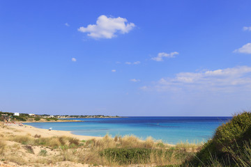 Summer seascape,Apulia coast: Marina di Lizzano beach (Taranto). The coastline is characterized by a alternation of sandy coves and jagged cliffs overlooking a truly clear and crystalline sea.