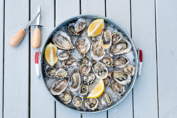 Freshly Shucked Oysters © k.mae studio, LLC