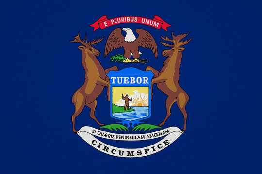 Michigan flag with fabric texture