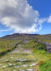 Fototapeta na wymiar Inishmore on the Aran Islands, Ireland.