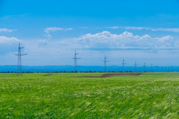 Fototapeta na wymiar Power lines / Power lines in green wheat fields