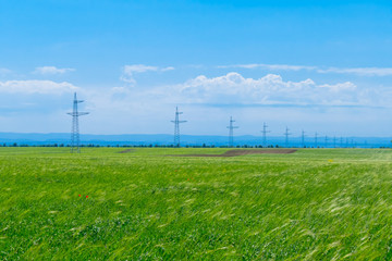 Fototapeta na wymiar Electric main / Power line in green wheat fields