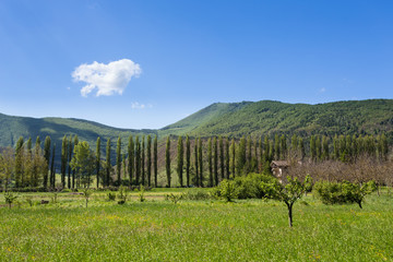 Fototapeta na wymiar Countryside - Orpiano - Macerata - Marche - Italy