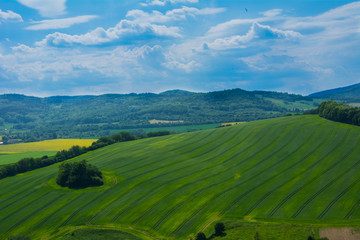 Panorama of green fields from the top of the castle Bolkow Poland