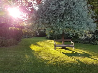 Photo sur Plexiglas Olivier Sunset bench