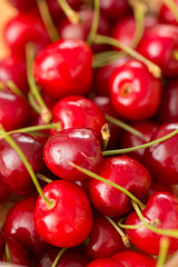 frische rote Kirschen