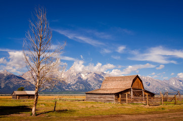 Fototapeta premium Abandoned barn on Mormon Row in Grand Teton NP, USA