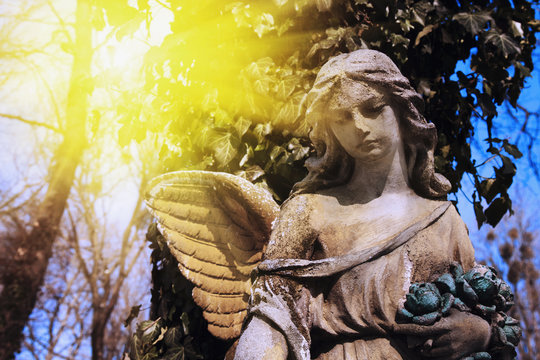 wonderful angel in the rays of the sun (architecture, statue, archetype, religion, faith)