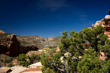 Hickman Bridge Trail A