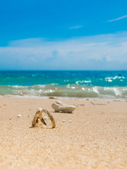 Fototapeta na wymiar Honeymoon on tropical island, two wedding rings on the beach, vertical