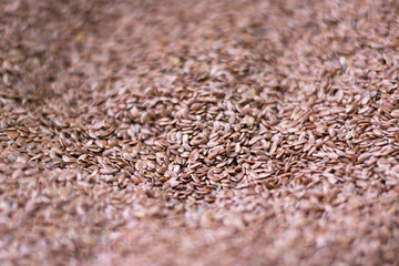 Linseed in a market. Linum usitatissimum.