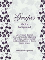 Vector seamless pattern background with vines in vintage style.