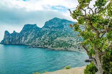 Fototapeta premium Blue Bay view from Cape Kapchik, Crimea