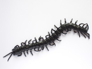 synthetic rubber centipede on white background