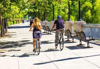 Two Bicyclists On Summer Day