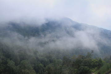 View in hill to genting highland, Malaysia