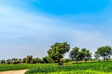 Punjab Village Pakistan