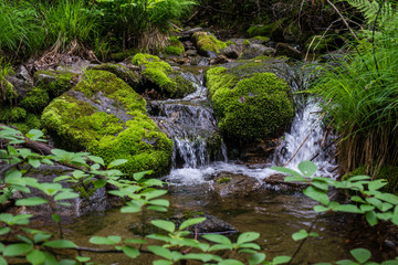 Waterfall landscape river