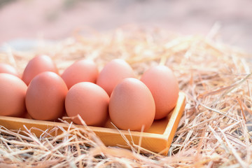 Good quality chicken eggs in a square wooden box on straw, Local farm in Thailand. Close-up and blur background.
