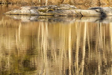 Reflections in Paskamansett River